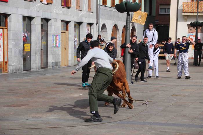 Soka zintzilik eta muturrak  53 1646140706227