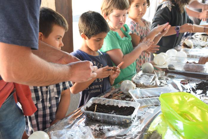 Ikaztegietako VI. Euskal Azo 26 1506175263840