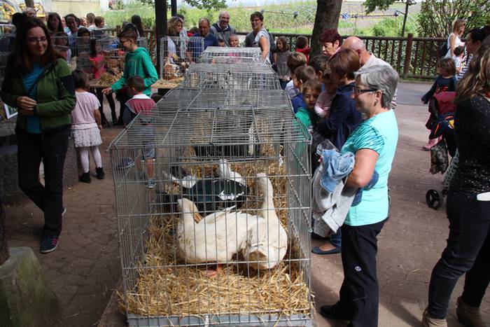 Piperra baino askoz gehiago 75 1505655099714