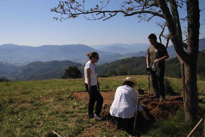 Saseta Defentsa Sistema auzo 10 1658491980469