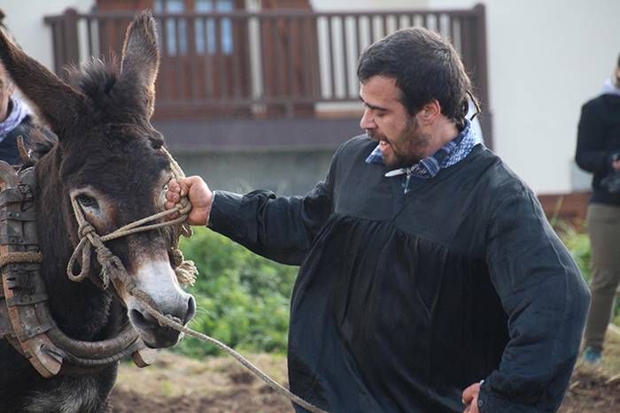 ADUNAKO KULTUR ASTEA 2017. G 19 1511017954391