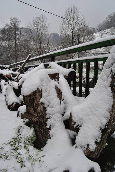 Argazki galeria: Tolosaldea, 7 1519809682691