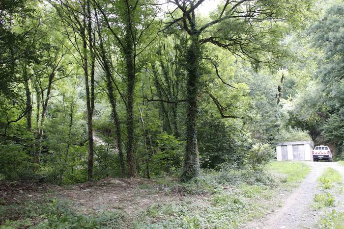 Malaka errekastoa 15 1627310008920