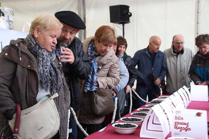 Tolosak Babarruna 53 1448111680094