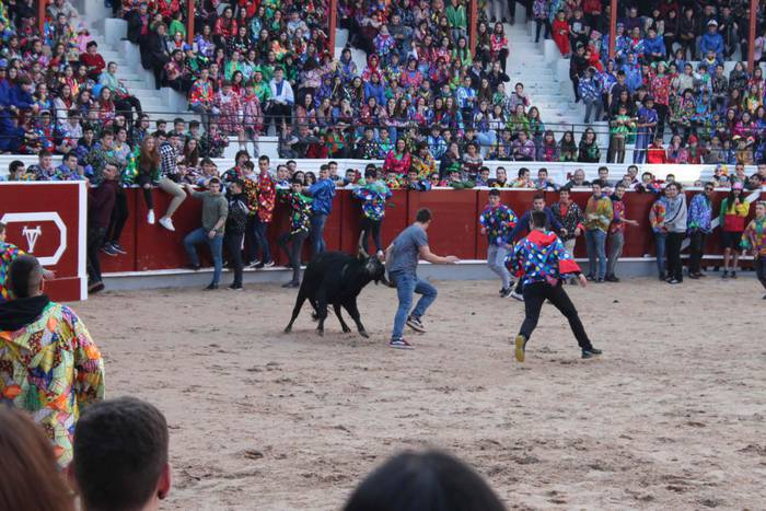 Inauteriak 2020, zezenak Ost 12 1582222545709