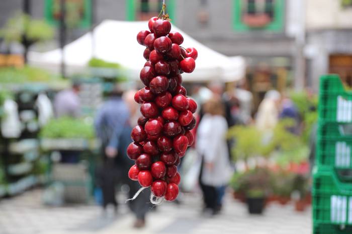 Lore eta Landare Azoka Tolosan 2016 11 1465051786055