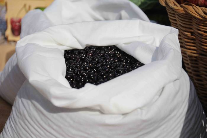 Euskaldunak asetzeko festa 10 1570976316424