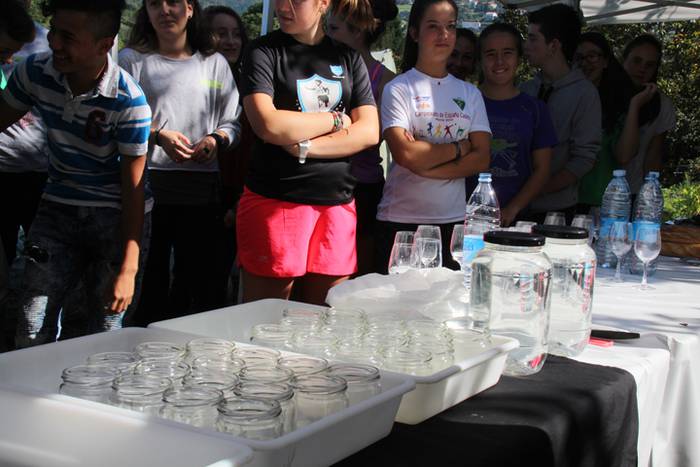 Ibarrako piperrak biltzen 20 5 1506520842300