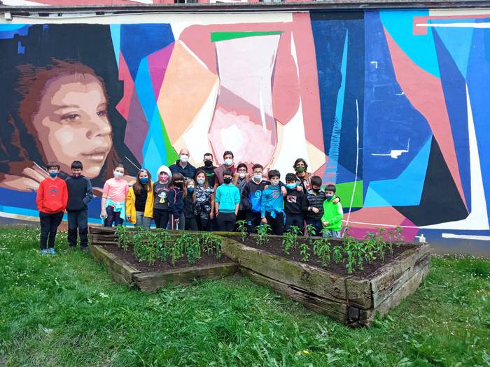 Piperrak landatu dituzte Iba 2 1621252668282