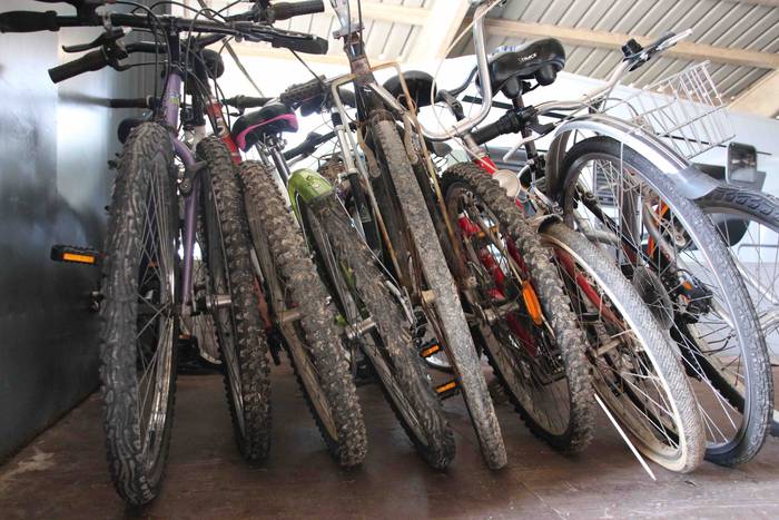 Bizikletei bizi berria 5 1613496334356