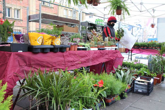 Zuhaitz azoka 2022 13 1645283027751