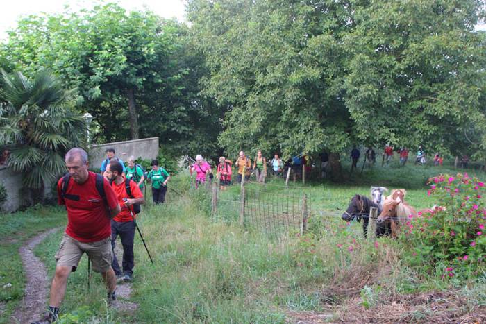 2016 bidea 7 1471775792783