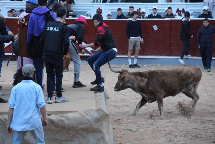 Pattar zezena 47 1582622113443