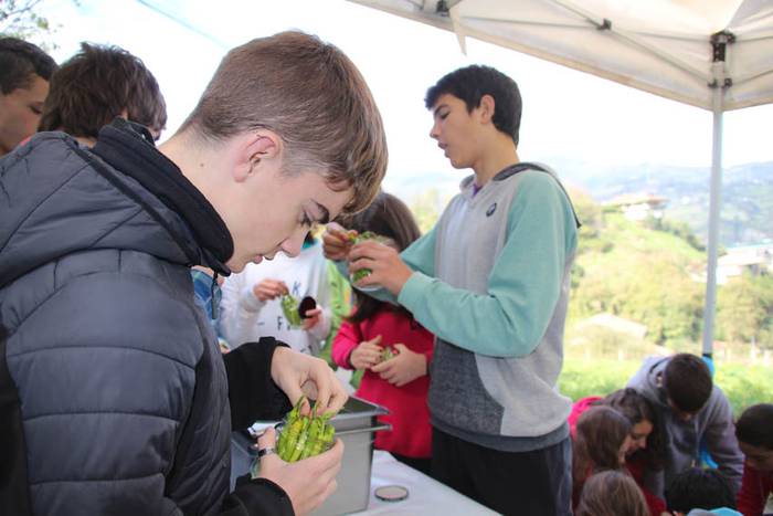 Piperraren zikloa 2015 25 1445442220533