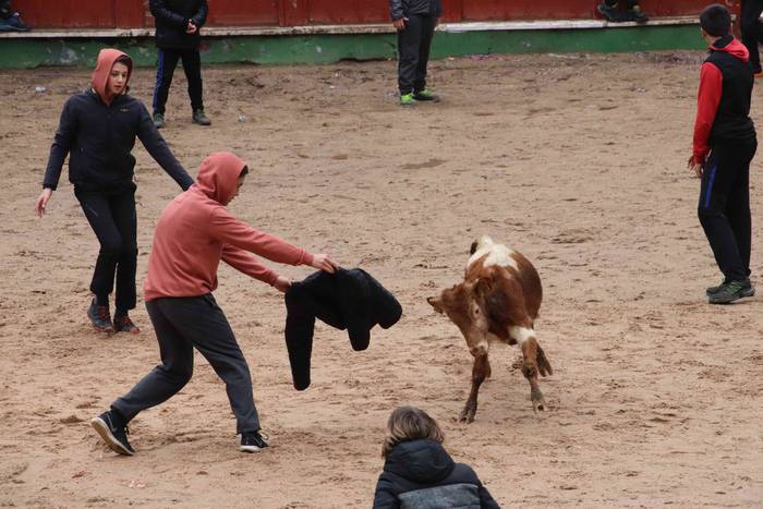 Txikienak zezen txikien aurr 10 1552240872402