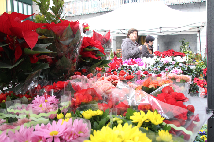 Urteko azken azoka berezia gurtu du Tolosak 55 1481986358356