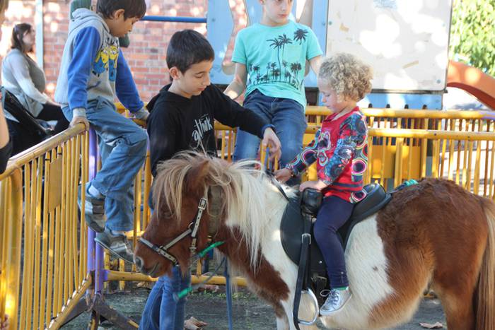 Animali, barazki eta artisau lanen bilgune 19 1477830797794