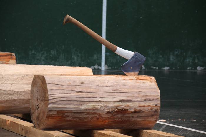 Zizurkilgo baserritarrek eur 3 1494860149729