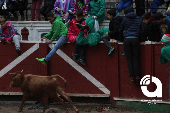 Zinbuluka ta zanbuluka 15 1487957669810