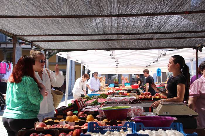 tolosako zokara bisita gidat 18 1657363889809