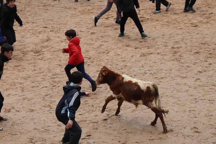 Txikienak zezen txikien aurr 12 1552240874375