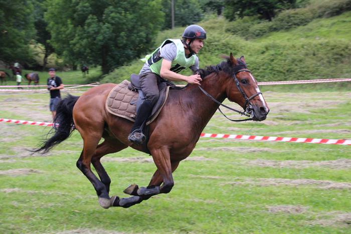 Zaldien gainean lehian 52 1497207417249