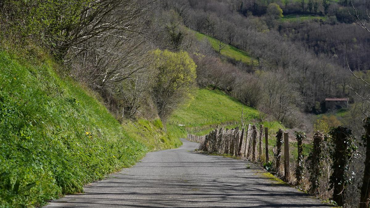 Amaitzear dira Orexako Baso Arboreto Historikoaren lanak