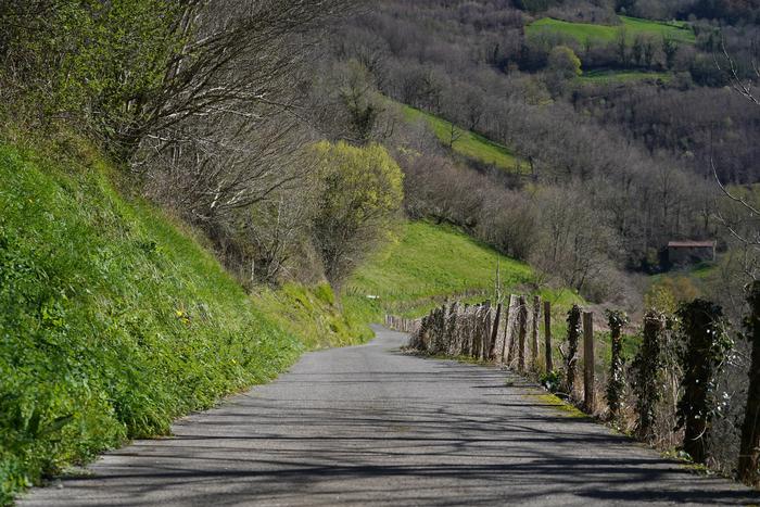 Amaitzear dira Orexako Baso Arboreto Historikoaren lanak