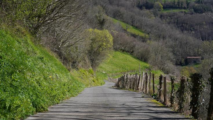 Amaitzear dira Orexako Baso Arboreto Historikoaren lanak