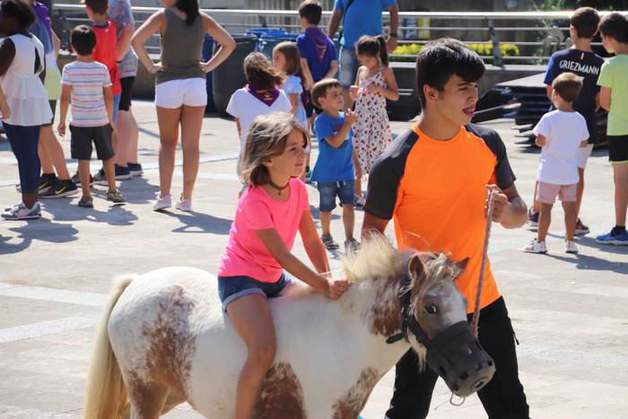 Festak hasteko, poniak eta z 2 1566993962415