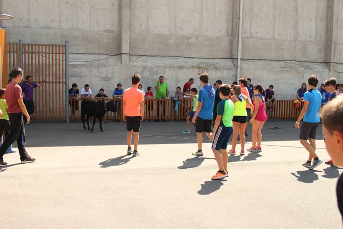 Hernialdeko Jaiak 2017 36 1502714706382