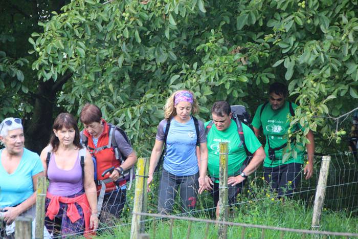 2016 bidea 10 1471775815420