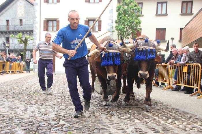 San Isidro Eguna Amasa Astea 13 1526395743967