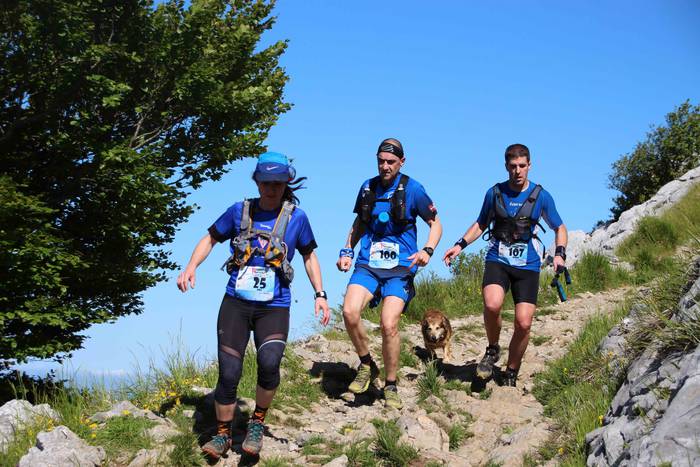 T3T, Hernio 2019 80 1560688445826