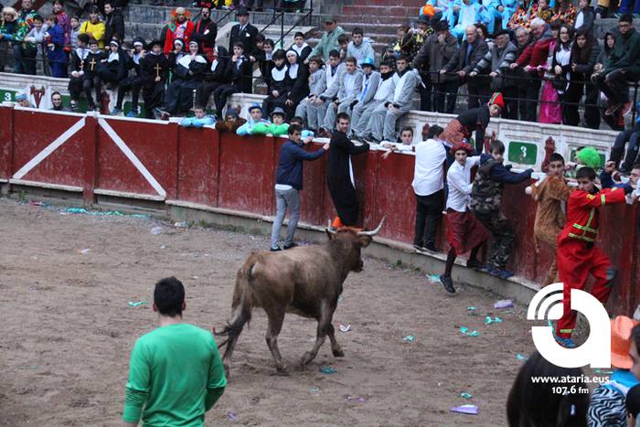 Zezenak adarrak okerrak ditu 10 1488277206647