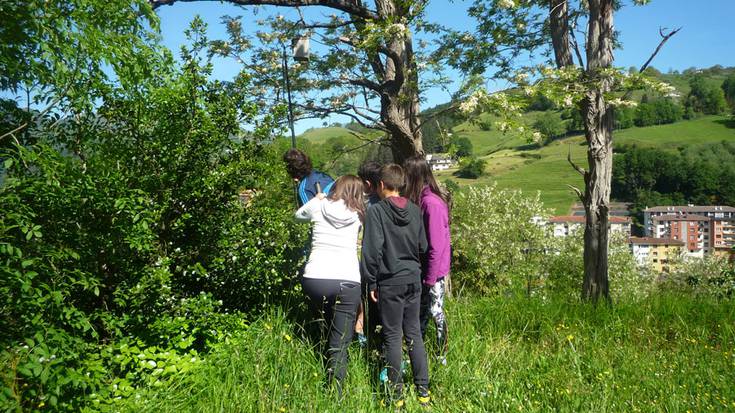 Txori habien gainbegiraketa egin dute Uzturpe Ikastolako ikasleek