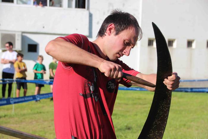 Asteasuko lagunarteko herri  74 1656445503748