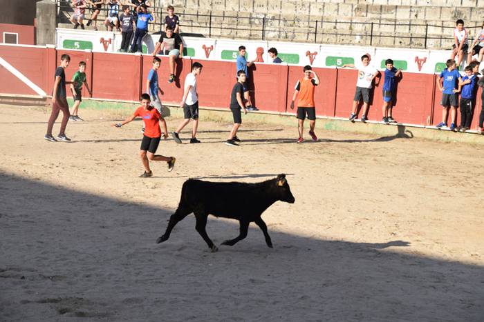 Berazubiko festak 2017, zeze 42 1507822982020
