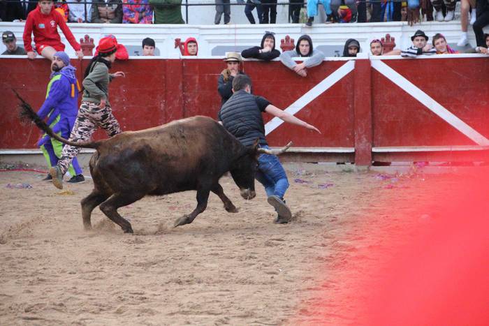 Tolosako Inauteriak 2022 Ast 41 1646130176532