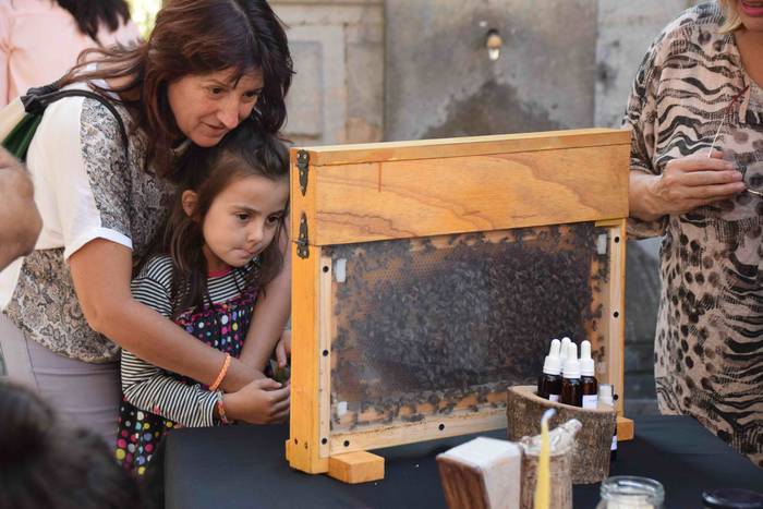 Bertako produktuak, bertakoe 14 1538310827938