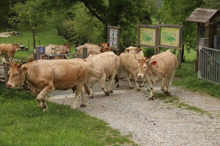 Larre irekiera ekitaldi bere 8 1588336776689