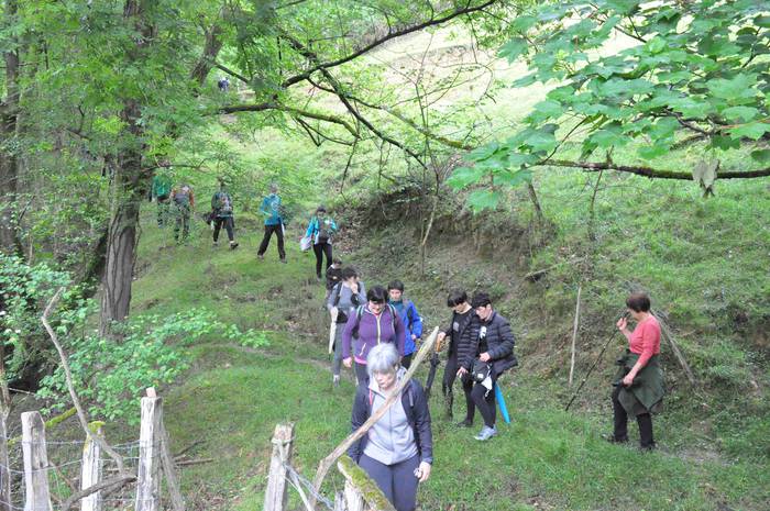 Zizurkilgo hegoaldeko mugarr 16 1621240761643