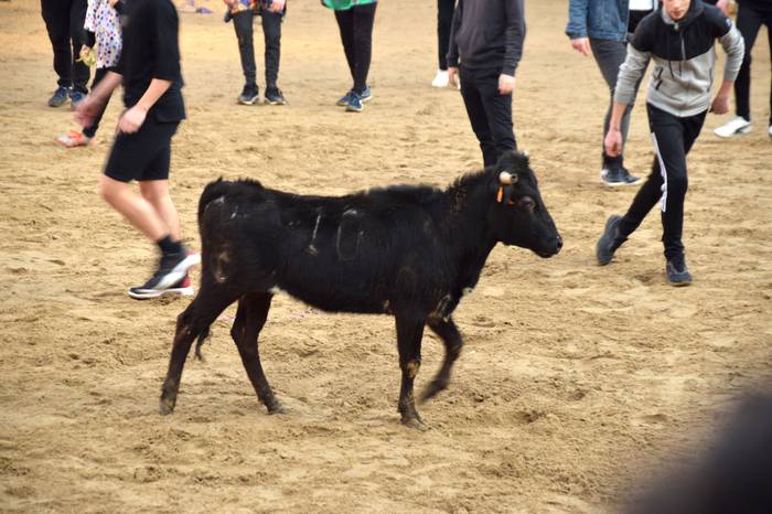 xexenak ostiral mehea 47 1645807736739