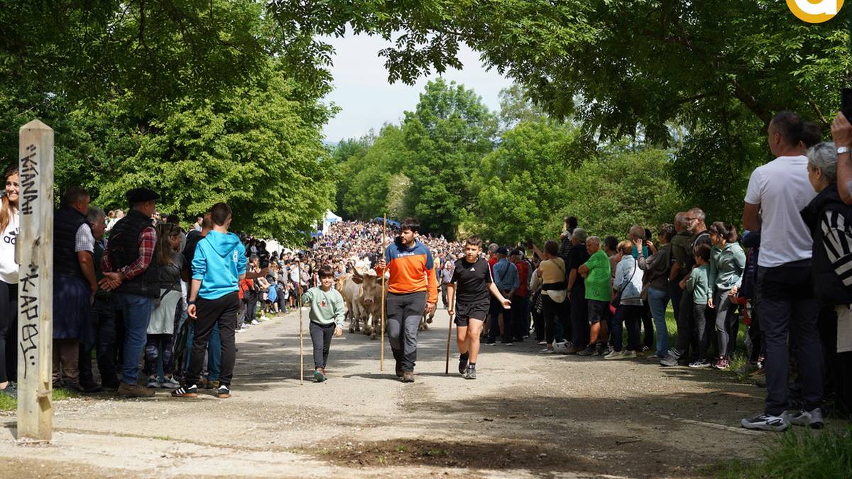 Jendetza elkartu da Larraitzen, Aralarko larreen irekiera festan