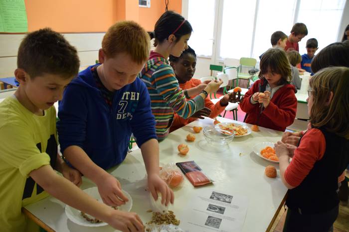 Lizartza eskolaren astea 2016 12 1461594734520