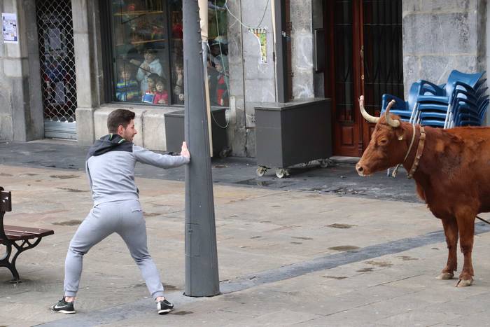 Zezenaren aurrean korrika 20 1551703640009