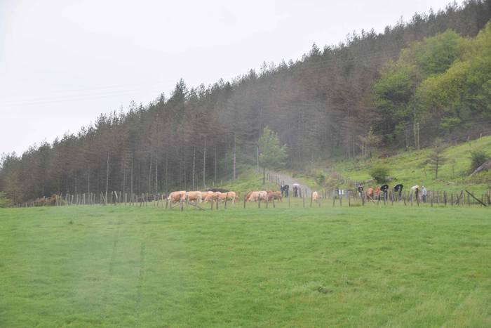 Larre irekiera Berastegi 202 11 1621072171355