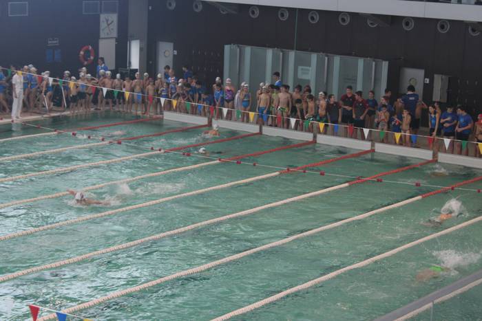 XIX. Paco Sanchez saria 3 1545490847421