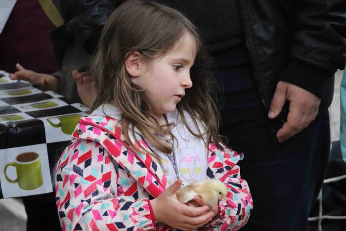 VIII. Udaberriko Azokaz goza 42 1558278845952