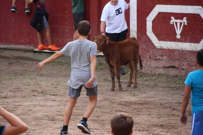 Zezen plaza hartu dute umeek 22 1539360707293